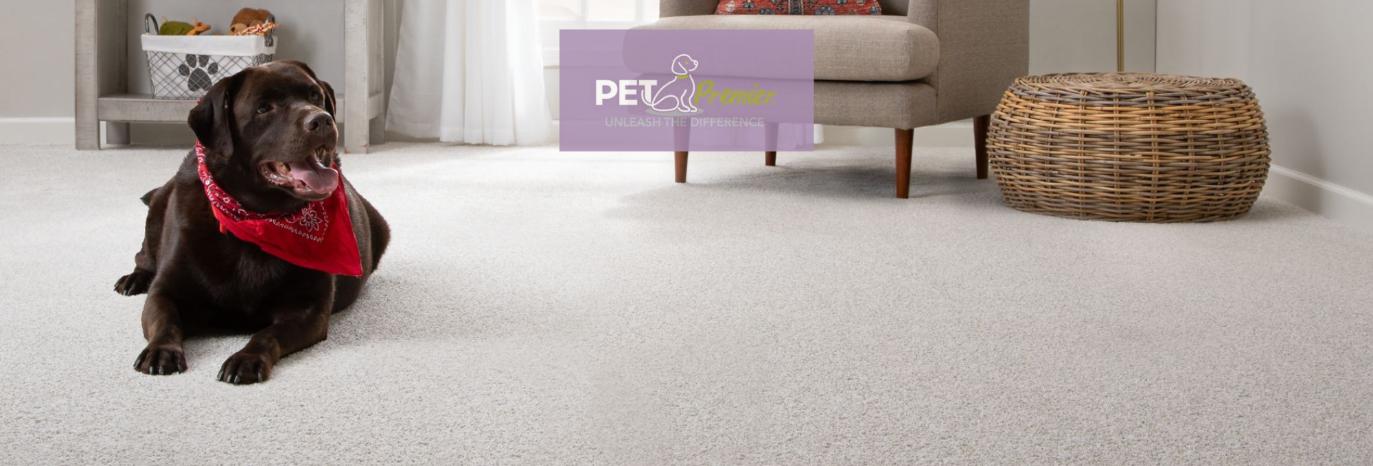 Pet-Friendly, Sustainable Carpet